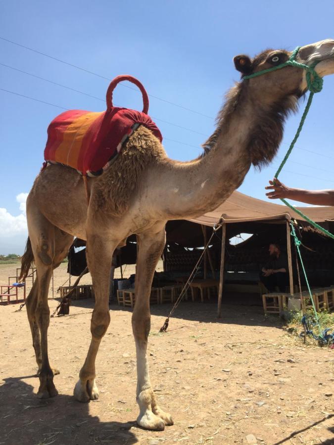 Riad Le Marrakech Berrima マラケシュ エクステリア 写真
